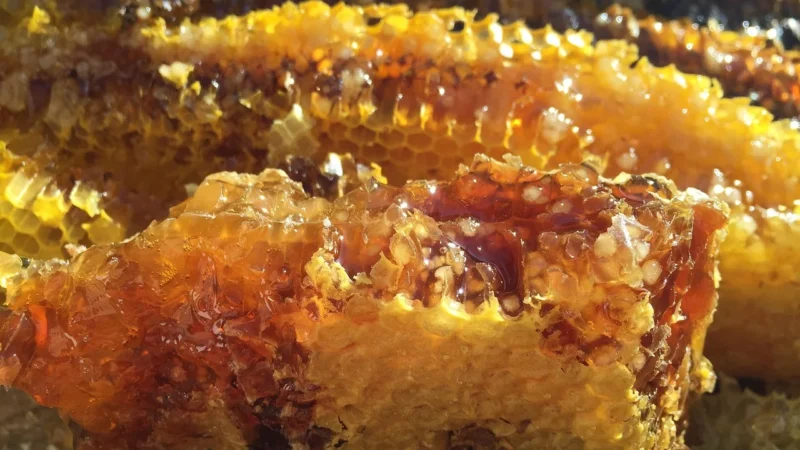 100% Naturalny Miód Miód Kremowany Z Czarną Porzeczką 1000g Polski