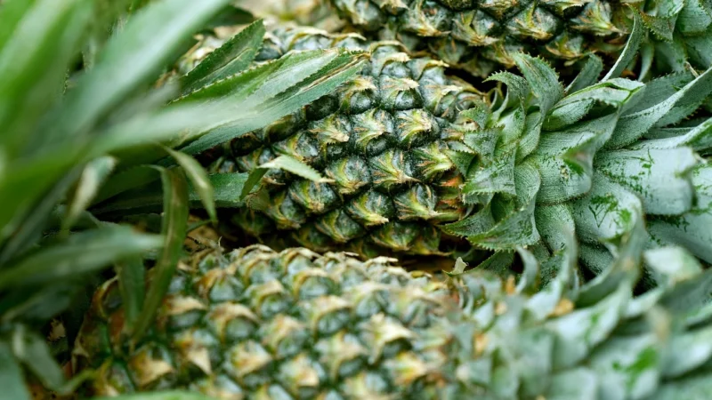 Aarts Ananas Kawałki W Zalewie Bio 350G