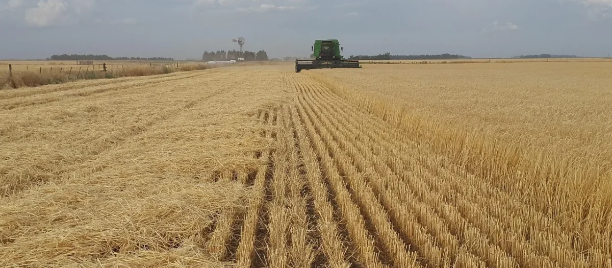 Agro-Wodzisław Sp. Z.O.O. Bio Budyń Bananowy z Jeżynami 38 g – Wodzisław