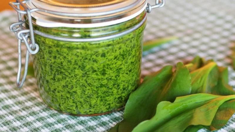 Alce Nero pesto z karczocha bio 130g