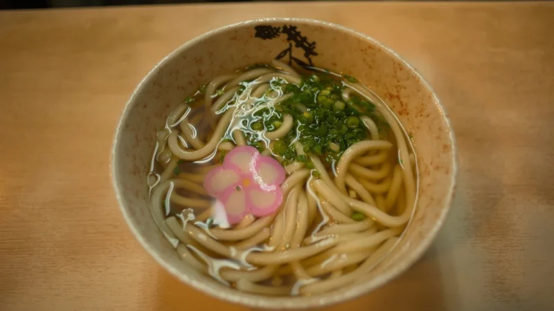 All Groo Makaron Udon Grzyby I Tofu – Gotowe Danie 690G