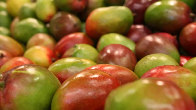 Allos konfitura z mango bio 500g