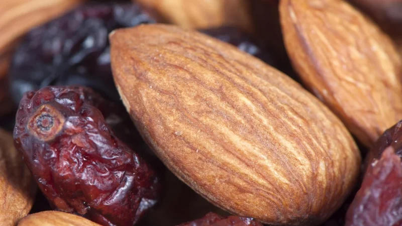 Almond Rooibos Bio