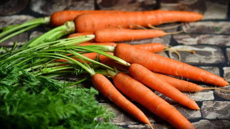 Alnatura Demeter Marchew Brokuł Makaron Po 8 Miesiącu 220G