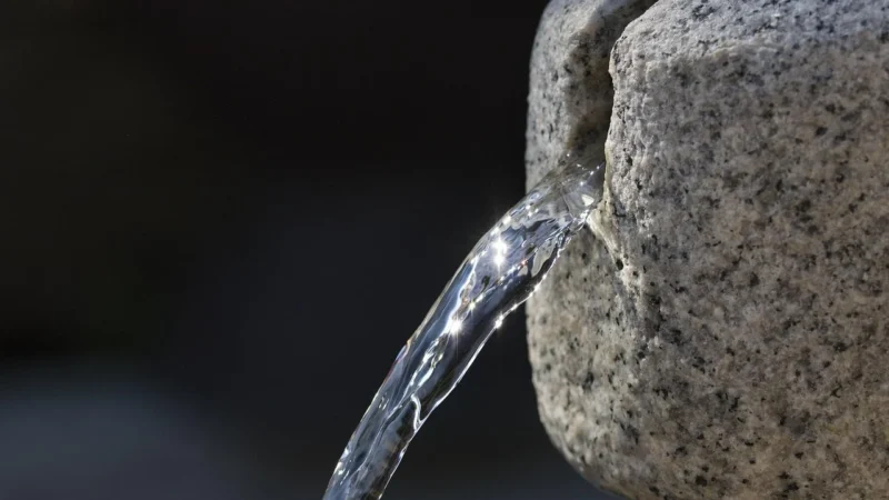 Aqua Verde Woda Kokosowa Bio 1 L