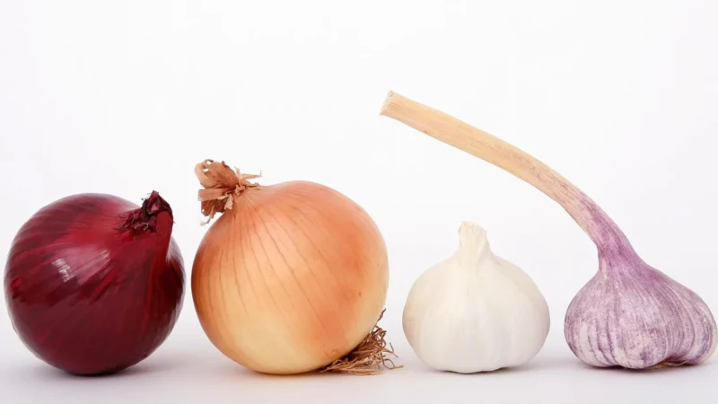 Aromatyczne Przyprawy Cebula Suszona Mielona 25Kg Worek