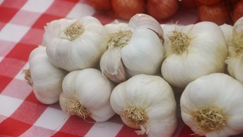 Aromatyczne Przyprawy Czubrica Czerwona 1Kg Bez Glutaminianu