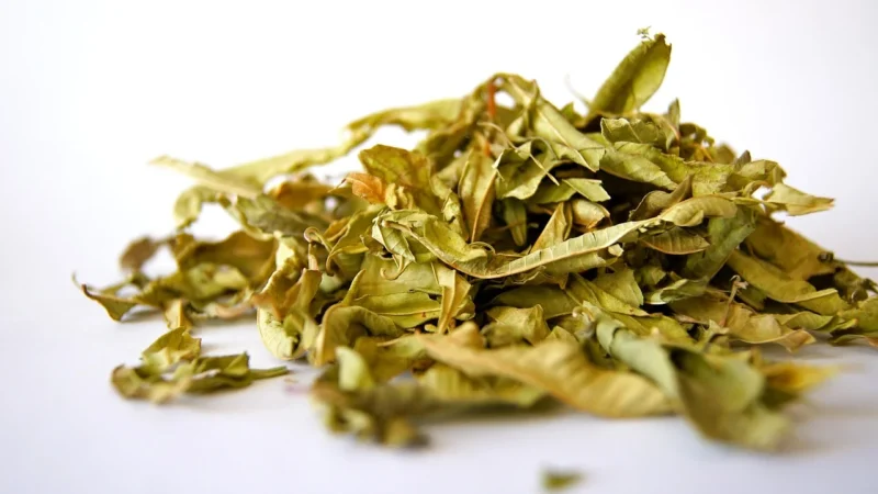 Aromatyczne Przyprawy Czubrica Zielona 100G