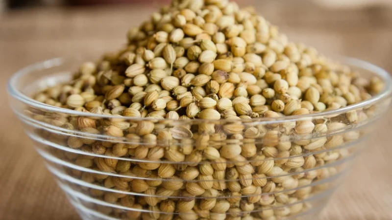 Aromatyczne Przyprawy Kolendra Ziarno 1Kg