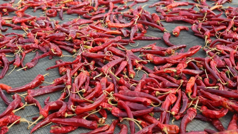 Aromatyczne Przyprawy Papryka Chilli Strąk 50G