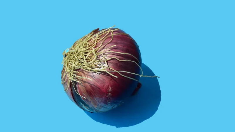 Aromatyczne Przyprawy Pomidor Suszony 100G