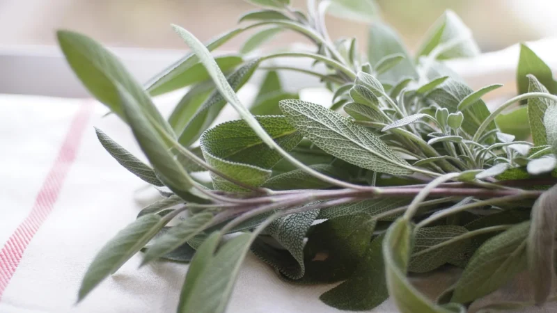 Aromatyczne Przyprawy Przyprawa Do Kiełbasy Słoikowej 100G