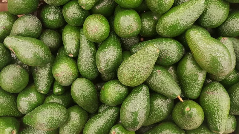 Avocado Świeże Bio (4 Szt. Na Tacce)