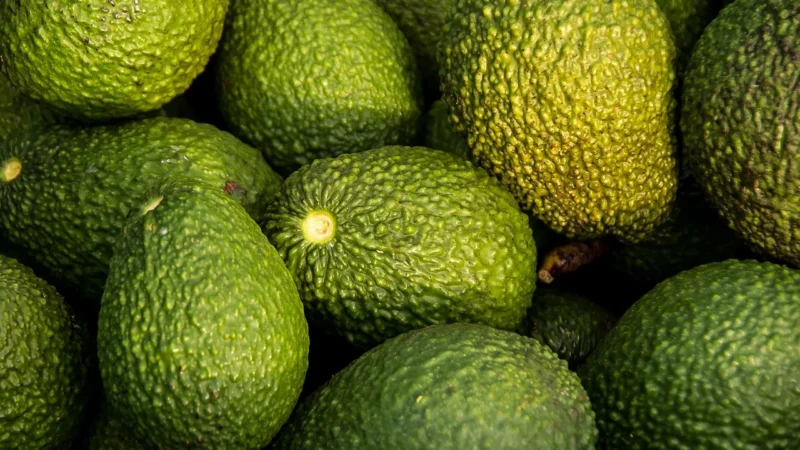 Awokado Świeże Bio (opakowanie około 0,20 kg) Bio