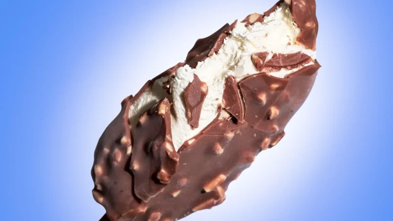BATON Z KAKAO I WANILIĄ W POLEWIE CZEKOLADOWEJ RAW BEZGLUTENOWY BIO 40 g – LIFEFOOD