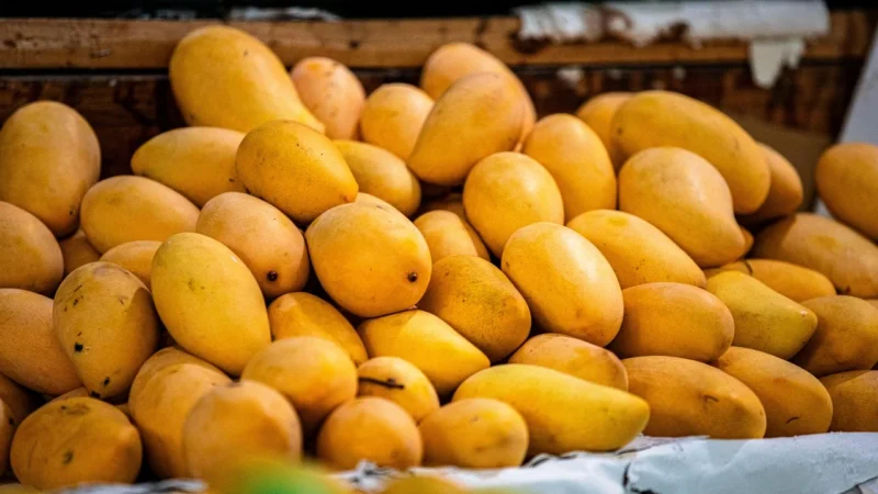 Batonik 100% Mango Tropicks, 20G