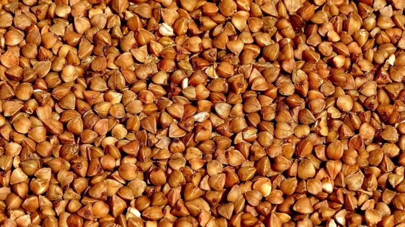 BIO PLANET – GRYKA EKSPANDOWANA BIO 50g