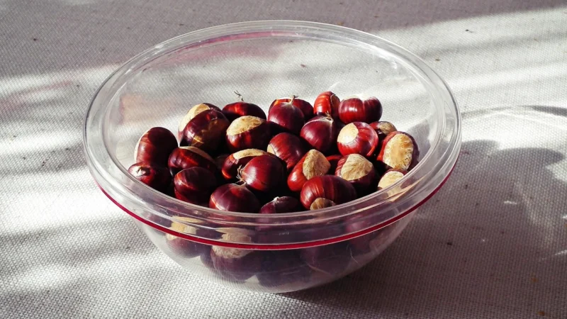 Bio Planet Płatki Kasztanowe Bio 300G