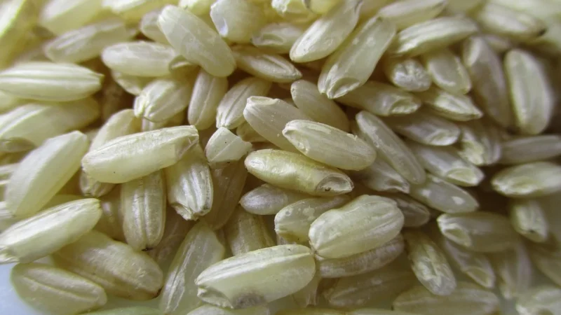 Bio Planet Ryż Arborio Risotto Bio 500G