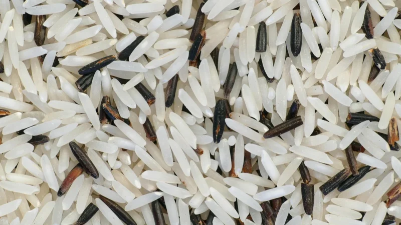 Bio Planet Ryż Basmati Biały Bio 1Kg