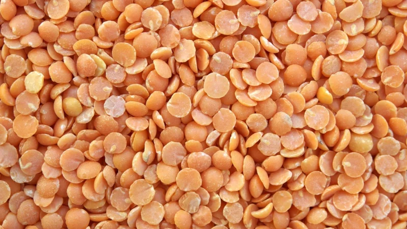Bio Planet Soczewica Czerwona Bio 2kg