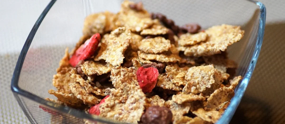 Bio Zentrale Chrupki Kukurydziane Naturalne 90g