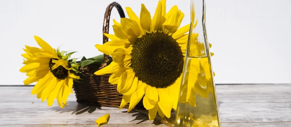 Bio Zentrale Olej Słonecznikowy Do Smażenia 750ml