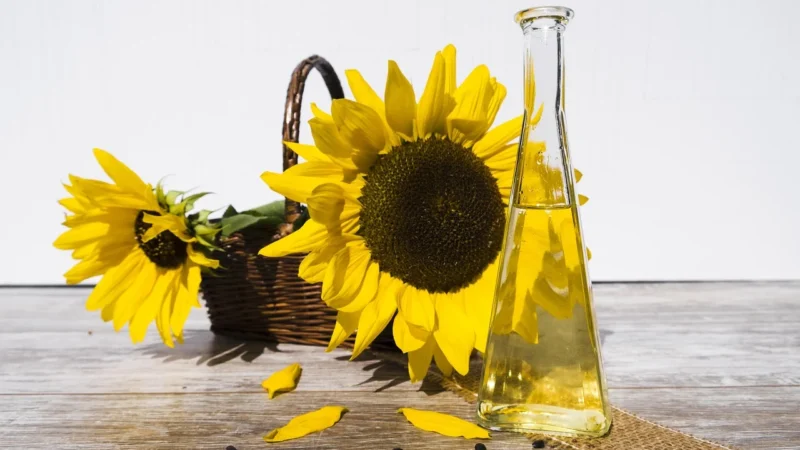 Bio Zentrale Olej Słonecznikowy Do Smażenia 750ml