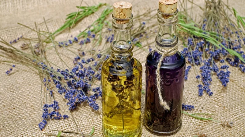 Biooil Olej Z Pestek Śliwek Kosmetyczny Bio 20ml