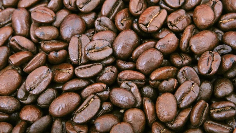 Coffeelab Kawa Ziarnista Coffee Lab Forza Blend 1kg