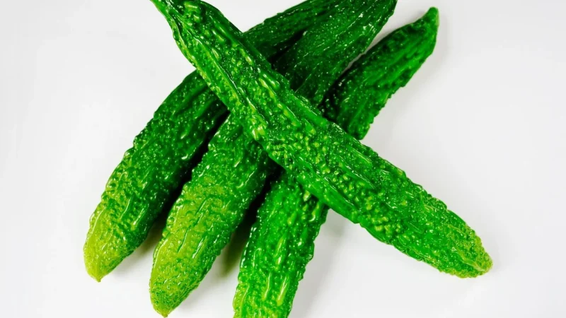 Cosmoveda Karela Churna – Bio 500g