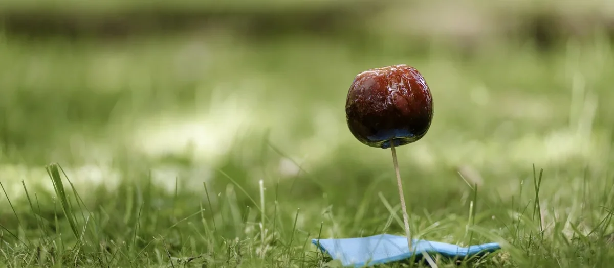 Cukierki bez cukru jabłka 18g Jake VitaminCandy