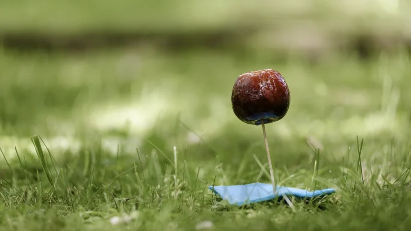 Cukierki bez cukru jabłka 18g Jake VitaminCandy