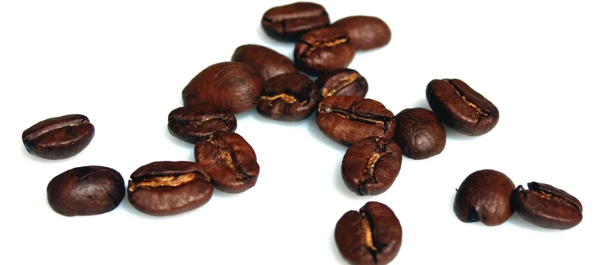 Dallmayr Espresso Intenso Ziarnista 1Kg