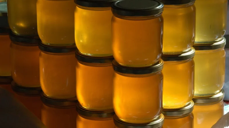 De Traay Miód Nektarowy Wielokwiatowy Kremowany Bio 900g
