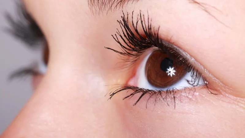 Delia DELIA MY WOW BROW piórkowy marker do brwi CZARNY
