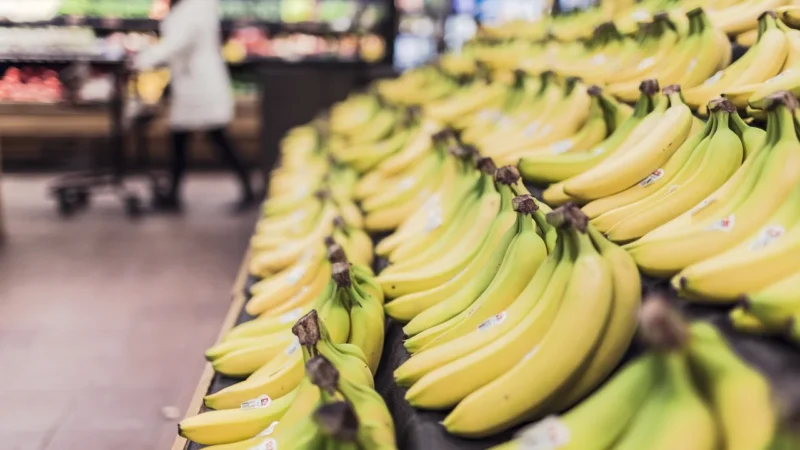 Delikatesy Bio Europa – najtańsze oferty