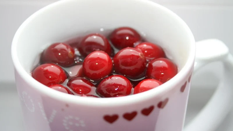 Demmers Teehaus Herbata owocowa „Cranberry” 100g