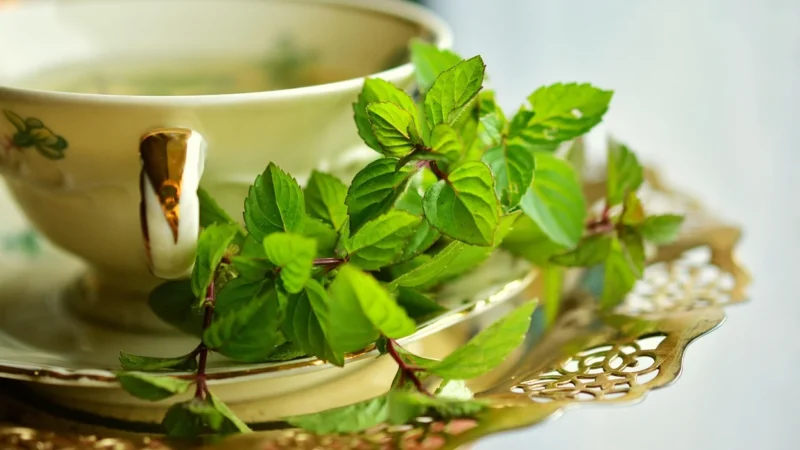Dilmah Moroccan Mint Green Tea 20 Torebek