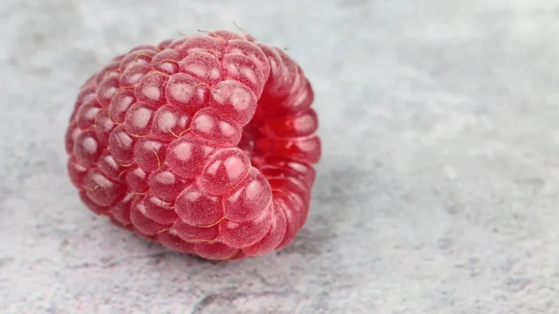 Doz Zielnik Malina, Herbatka Owocowa Z Hibiskusem, 30 Sasz.
