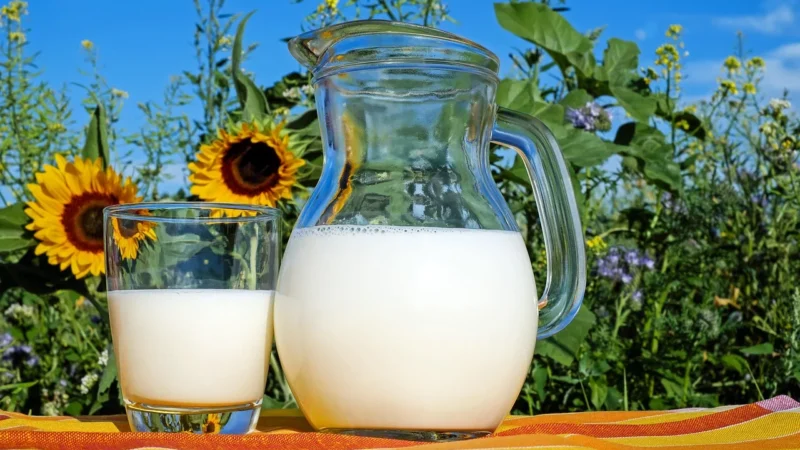 Ecomil – Napój z Orzechów Nerkowca Bez Cukru Bio 1L Uht