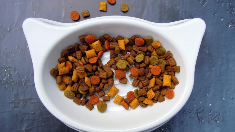 Eden Puppy Cuisine Small Łosoś I Kurczak 6Kg