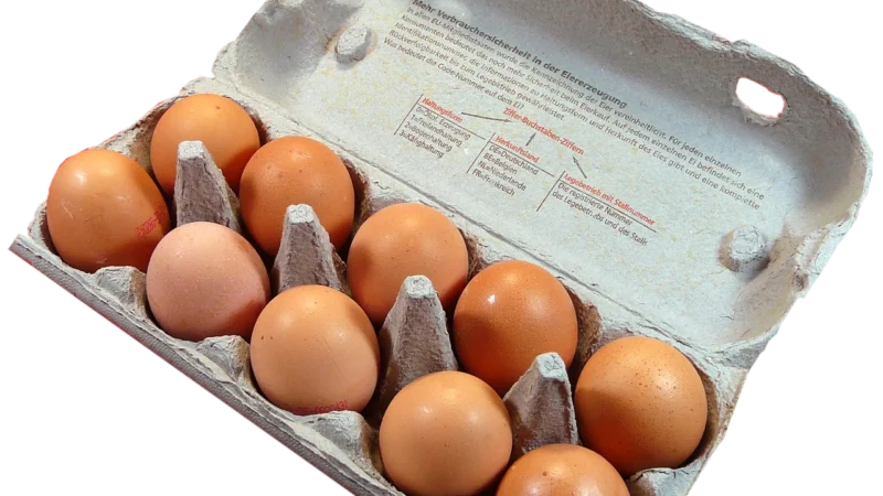 Ekowital Jaja Bio M (10 Szt)