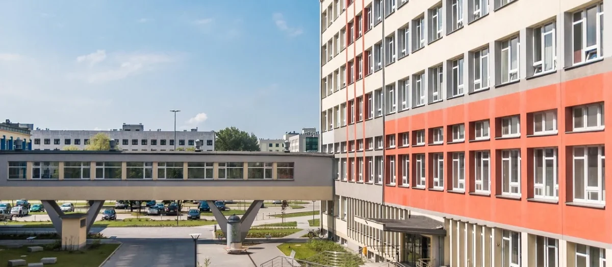 Farma Świętokrzyska Bigos Wegański Bezglutenowy Bio 420G
