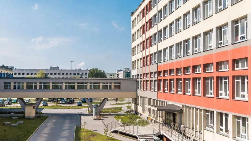 Farma Świętokrzyska Bigos Wegański Bezglutenowy Bio 420G