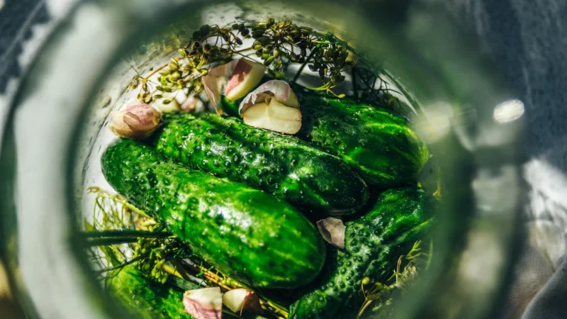 Farma Świętokrzyska Ogórki Kiszone Bio 750G