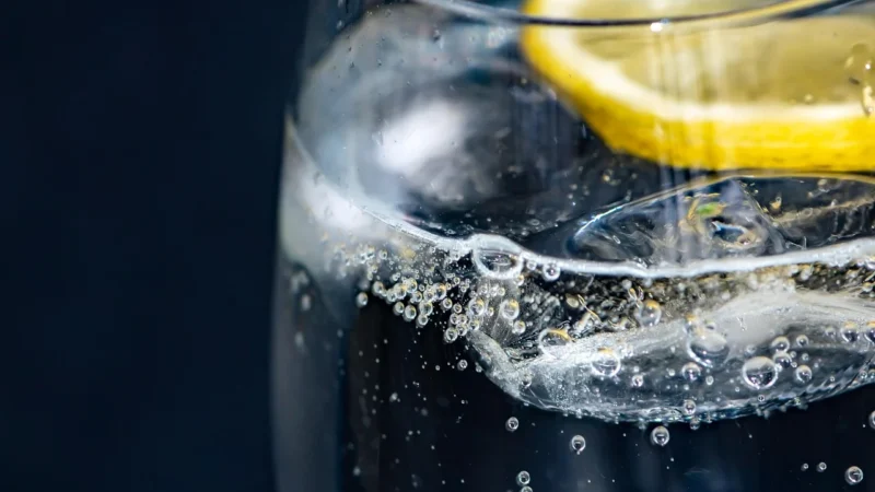 Fever-Tree Indian Tonic Water 200ml