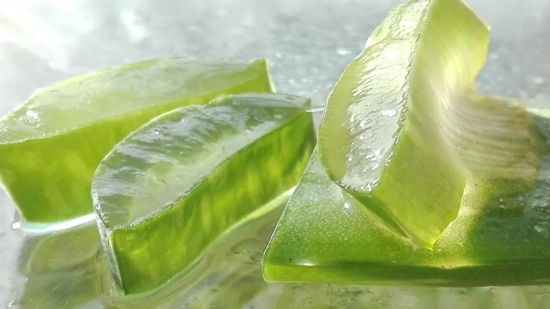 Forever Living Products Forever Aloe Vera Gel Sok Z Miąższem Z Aloesu 1L