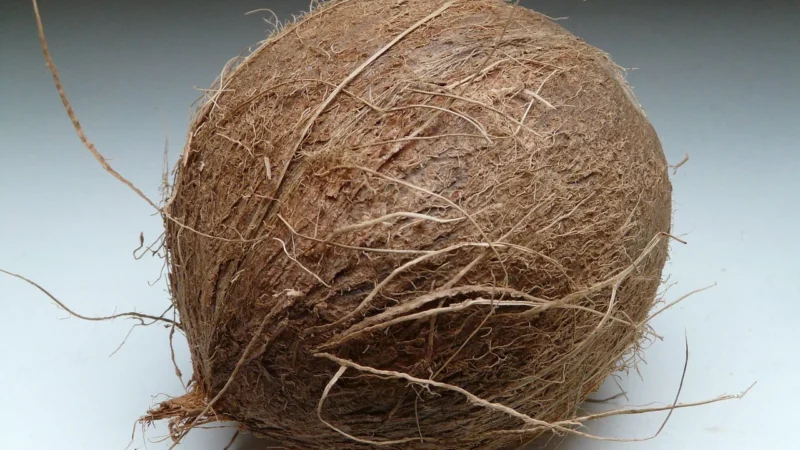 Genuine Coconut Kęski Kokosa Świeże Dla Dzieci O Smaku Waniliowym Bio 56g