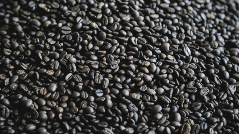Gorzkoislodko Bób Prażony Solony Chrupiąca Przekąska 1kg
